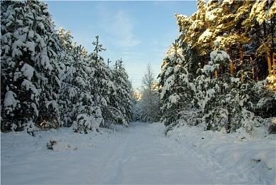 《真三国无双：起源》制作人：对没有加入大乔小乔感到心痛